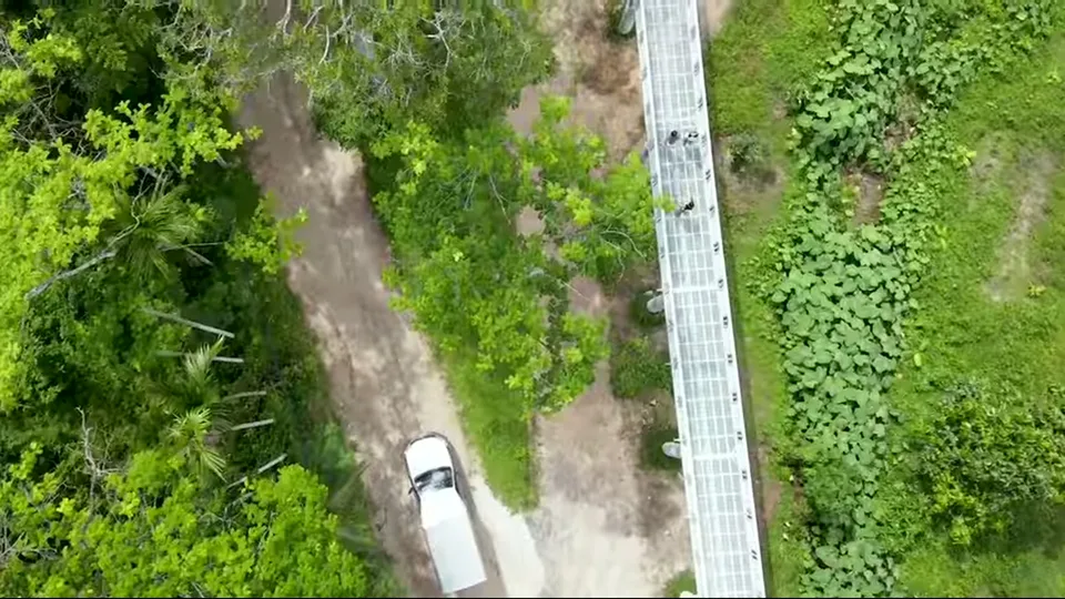 Aerial view of canopy walkway above forest and dirt road at Phuket Elephant Sanctuary