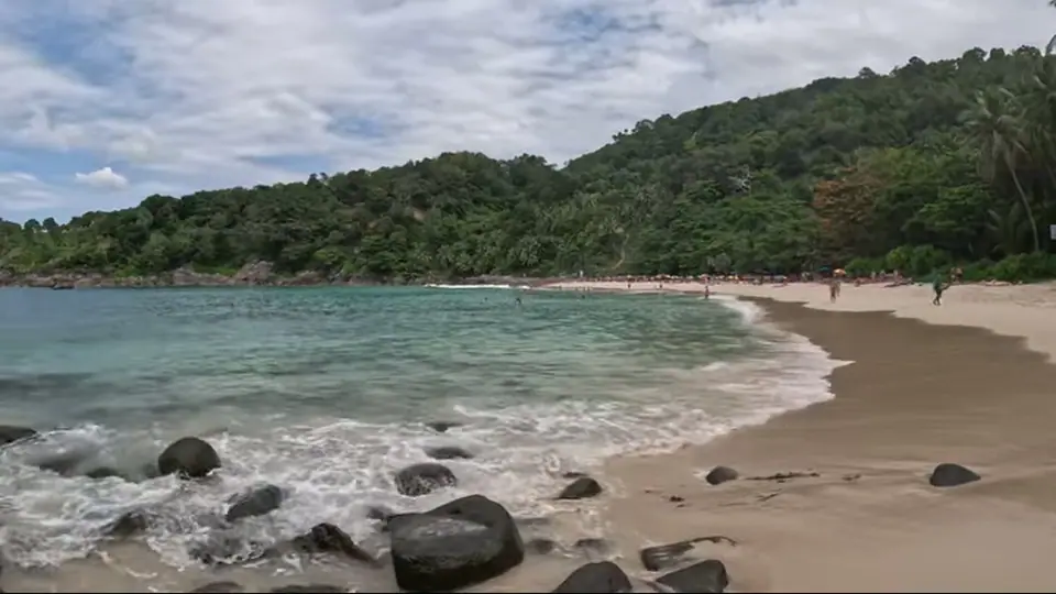 Curving wet shoreline with scattered rocks and lush hillside beyond.