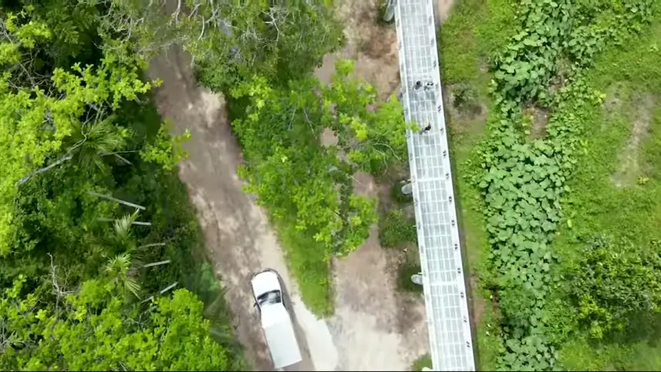 Elevated canopy walkway crosses above greenery and a dirt road.