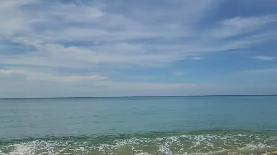 Wide quiet shoreline with pale turquoise water and coastal trees